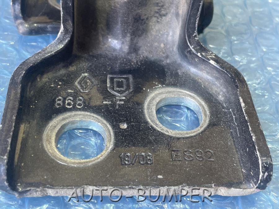 Renault Logan петля двери 6001546883 804207876R